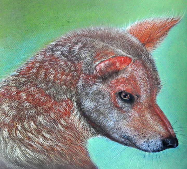 Dingo - Pastels by Krish V. Krishnan