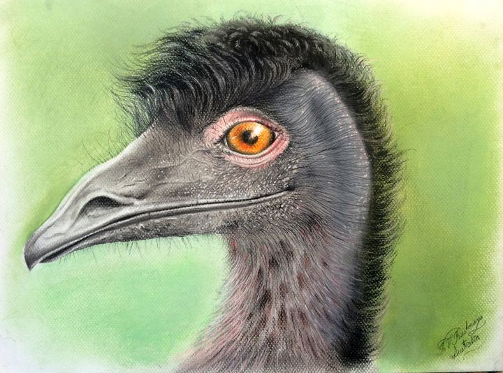 Emu - Pastels by Krish V. Krishnan