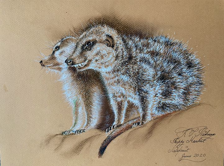 Happy Meerkats - Pen and Ink by Krish V. Krishnan