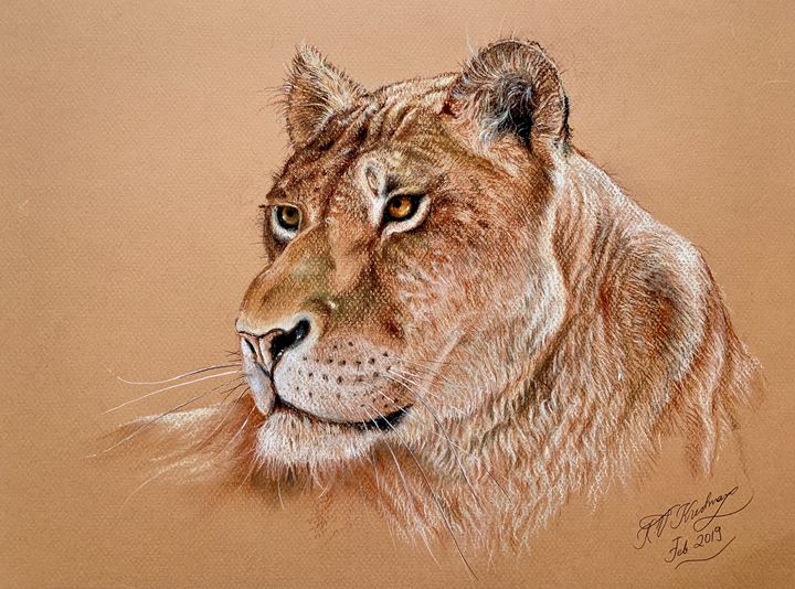 Lion - Pastels by Krish V. Krishnan