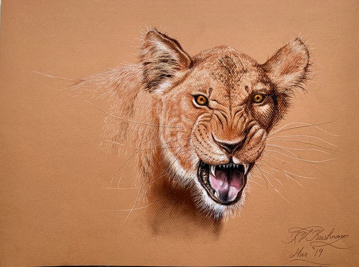 Lion II - Pastels by Krish V. Krishnan